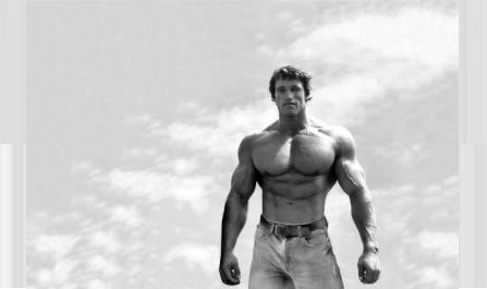 How Do Bodybuilders Get Steroids?