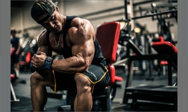 Where to Buy Anabolic Steroids? Your Queries Answered Here!
