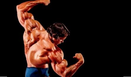 Best Anabolic Steroids for Sale Online